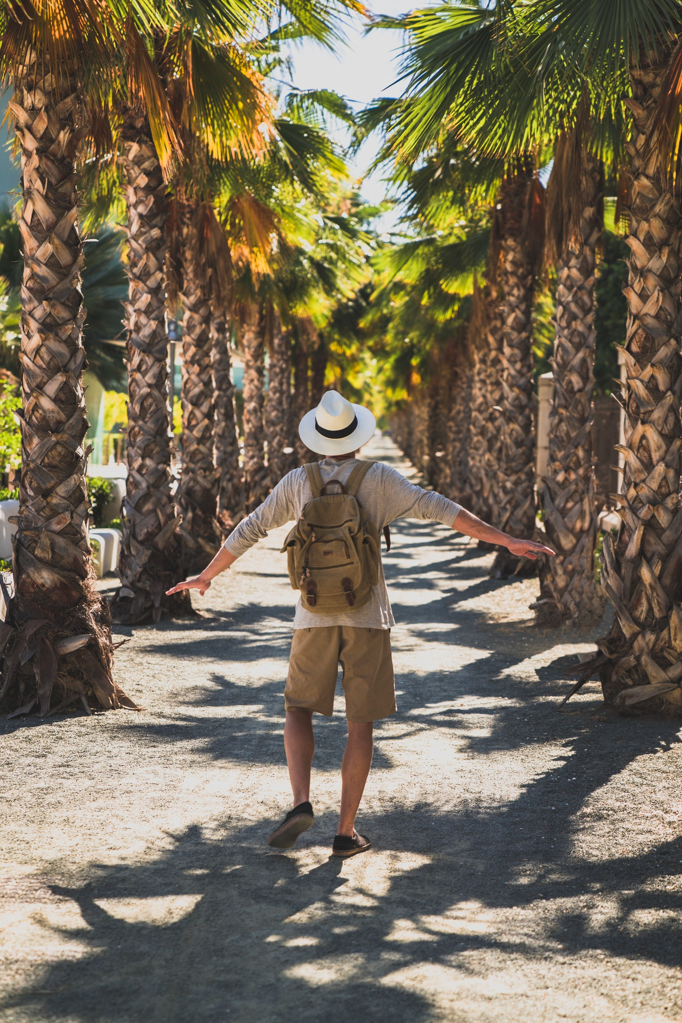 Voyageur dans le désert